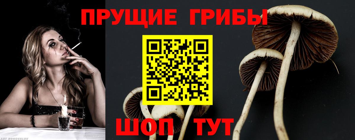 Псилоцибиновые грибы ЛСД Новоуральск