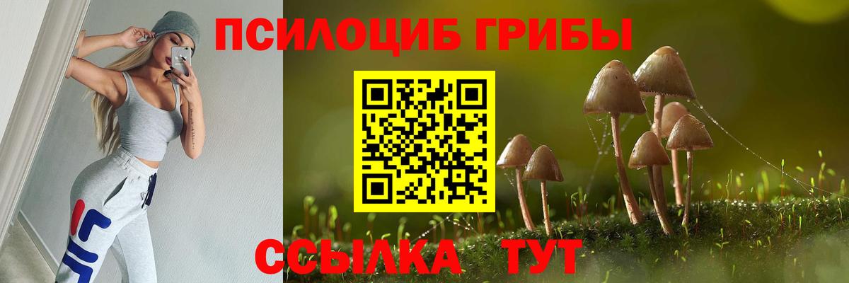 Псилоцибиновые грибы Psilocybine cubensis  Вход с VPN  Новоуральск 